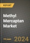2024 Methyl Mercaptan Market Outlook Report: Industry Size, Market Shares Data, Insights, Growth Trends, Opportunities, Competition 2023 to 2031 - Product Image
