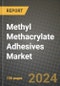 2024 Methyl Methacrylate (MMA) Adhesives Market Outlook Report: Industry Size, Market Shares Data, Insights, Growth Trends, Opportunities, Competition 2023 to 2031 - Product Image