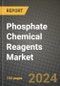 2024 Phosphate Chemical Reagents Market Outlook Report: Industry Size, Market Shares Data, Insights, Growth Trends, Opportunities, Competition 2023 to 2031 - Product Thumbnail Image