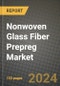 2024 Nonwoven Glass Fiber Prepreg Market Outlook Report: Industry Size, Market Shares Data, Insights, Growth Trends, Opportunities, Competition 2023 to 2031 - Product Image