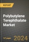 2023 Polybutylene Terephthalate (Pbt) Market Outlook Report - Market Size, Market Split, Market Shares Data, Insights, Trends, Opportunities, Companies: Growth Forecasts by Product Type, Application, and Region from 2022 to 2030 - Product Image