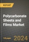 2024 Polycarbonate Sheets and Films Market Outlook Report: Industry Size, Market Shares Data, Insights, Growth Trends, Opportunities, Competition 2023 to 2031 - Product Thumbnail Image