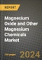 2024 Magnesium Oxide and Other Magnesium Chemicals Market Outlook Report: Industry Size, Market Shares Data, Insights, Growth Trends, Opportunities, Competition 2023 to 2031 - Product Thumbnail Image