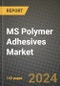 2024 MS Polymer Adhesives Market Outlook Report: Industry Size, Market Shares Data, Insights, Growth Trends, Opportunities, Competition 2023 to 2031 - Product Thumbnail Image