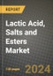 2023 Lactic Acid, Salts and Esters Market Outlook Report - Market Size, Market Split, Market Shares Data, Insights, Trends, Opportunities, Companies: Growth Forecasts by Product Type, Application, and Region from 2022 to 2030 - Product Image