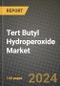 2024 Tert Butyl Hydroperoxide (TBHP) Market Outlook Report: Industry Size, Market Shares Data, Insights, Growth Trends, Opportunities, Competition 2023 to 2031 - Product Image