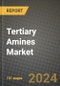2023 Tertiary Amines Market Outlook Report - Market Size, Market Split, Market Shares Data, Insights, Trends, Opportunities, Companies: Growth Forecasts by Product Type, Application, and Region from 2022 to 2030 - Product Image