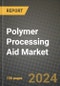 2024 Polymer Processing Aid Market Outlook Report: Industry Size, Market Shares Data, Insights, Growth Trends, Opportunities, Competition 2023 to 2031 - Product Image
