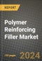 2023 Polymer Reinforcing Filler Market Outlook Report - Market Size, Market Split, Market Shares Data, Insights, Trends, Opportunities, Companies: Growth Forecasts by Product Type, Application, and Region from 2022 to 2030 - Product Image