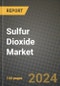 2023 Sulfur Dioxide Market Outlook Report - Market Size, Market Split, Market Shares Data, Insights, Trends, Opportunities, Companies: Growth Forecasts by Product Type, Application, and Region from 2022 to 2030 - Product Image