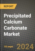 2024 Precipitated Calcium Carbonate (PCC) Market Outlook Report: Industry Size, Market Shares Data, Insights, Growth Trends, Opportunities, Competition 2023 to 2031- Product Image