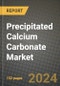 2024 Precipitated Calcium Carbonate (PCC) Market Outlook Report: Industry Size, Market Shares Data, Insights, Growth Trends, Opportunities, Competition 2023 to 2031 - Product Image
