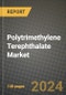 2023 Polytrimethylene Terephthalate Market Outlook Report - Market Size, Market Split, Market Shares Data, Insights, Trends, Opportunities, Companies: Growth Forecasts by Product Type, Application, and Region from 2022 to 2030 - Product Image