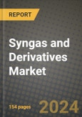2024 Syngas and Derivatives Market Outlook Report: Industry Size, Market Shares Data, Insights, Growth Trends, Opportunities, Competition 2023 to 2031- Product Image