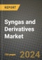 2024 Syngas and Derivatives Market Outlook Report: Industry Size, Market Shares Data, Insights, Growth Trends, Opportunities, Competition 2023 to 2031 - Product Image