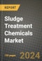 2024 Sludge Treatment Chemicals Market Outlook Report: Industry Size, Market Shares Data, Insights, Growth Trends, Opportunities, Competition 2023 to 2031 - Product Thumbnail Image