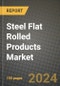 2024 Steel Flat Rolled Products Market Outlook Report: Industry Size, Market Shares Data, Insights, Growth Trends, Opportunities, Competition 2023 to 2031 - Product Image