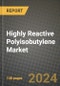 2024 Highly Reactive Polyisobutylene Market Outlook Report: Industry Size, Market Shares Data, Insights, Growth Trends, Opportunities, Competition 2023 to 2031 - Product Image