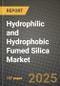 2025 Hydrophilic and Hydrophobic Fumed Silica Market Outlook Report: Industry Size, Market Shares Data, Insights, Growth Trends, Opportunities, Competition 2024 to 2032 - Product Image