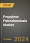 2024 Propylene Petrochemicals Market Outlook Report: Industry Size, Market Shares Data, Insights, Growth Trends, Opportunities, Competition 2023 to 2031 - Product Image