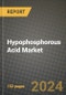 2024 Hypophosphorous Acid Market Outlook Report: Industry Size, Market Shares Data, Insights, Growth Trends, Opportunities, Competition 2023 to 2031 - Product Image