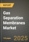 2024 Gas Separation Membranes Market Outlook Report: Industry Size, Market Shares Data, Insights, Growth Trends, Opportunities, Competition 2023 to 2031 - Product Thumbnail Image