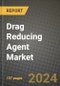 2024 Drag Reducing Agent Market Outlook Report: Industry Size, Market Shares Data, Insights, Growth Trends, Opportunities, Competition 2023 to 2031 - Product Image