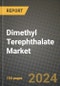 2023 Dimethyl Terephthalate (Dmt) Market Outlook Report - Market Size, Market Split, Market Shares Data, Insights, Trends, Opportunities, Companies: Growth Forecasts by Product Type, Application, and Region from 2022 to 2030 - Product Image