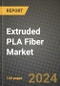 2024 Extruded PLA Fiber Market Outlook Report: Industry Size, Market Shares Data, Insights, Growth Trends, Opportunities, Competition 2023 to 2031 - Product Image
