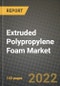 2023 Extruded Polypropylene (Xpp) Foam Market Outlook Report - Market Size, Market Split, Market Shares Data, Insights, Trends, Opportunities, Companies: Growth Forecasts by Product Type, Application, and Region from 2022 to 2030 - Product Image