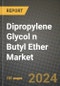 2024 Dipropylene Glycol n Butyl Ether Market Outlook Report: Industry Size, Market Shares Data, Insights, Growth Trends, Opportunities, Competition 2023 to 2031 - Product Thumbnail Image