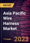 Asia Pacific Wire Harness Market Forecast to 2030 - COVID-19 Impact and Regional Analysis - by Product Type, Material, and End User - Product Image