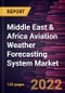 Middle East & Africa Aviation Weather Forecasting System Market Forecast to 2028 - COVID-19 Impact and Regional Analysis - Component, Application, and Forecast Type - Product Thumbnail Image