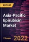 Asia-Pacific Epirubicin Market Forecast to 2028 - COVID-19 Impact and Regional Analysis - by Dosage, Application, and Distribution Channel - Product Image