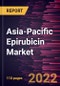 Asia-Pacific Epirubicin Market Forecast to 2028 - COVID-19 Impact and Regional Analysis - by Dosage, Application, and Distribution Channel - Product Thumbnail Image