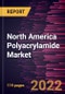 North America Polyacrylamide Market Forecast to 2028 - COVID-19 Impact and Regional Analysis - by Type, Form, and End User - Product Thumbnail Image