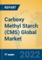Carboxy Methyl Starch (CMS) Global Market Insights 2022, Analysis and Forecast to 2027, by Manufacturers, Regions, Technology, Application, Product Type - Product Image