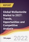 Global Wollastonite Market to 2027: Trends, Opportunities and Competitive Analysis - Product Image