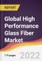 Global High Performance Glass Fiber Market to 2027: Trends, Opportunities and Competitive Analysis - Product Thumbnail Image
