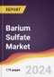 Barium Sulfate Market: Market Size, Trends and Growth Analysis [2024-2030] - Product Image