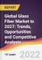 Global Glass Fiber Market to 2027: Trends, Opportunities and Competitive Analysis - Product Image