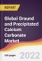 Global Ground and Precipitated Calcium Carbonate Market to 2027: Market Size, Trends and Growth Analysis - Product Image