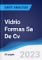 Vidrio Formas Sa De Cv - Strategy, SWOT and Corporate Finance Report - Product Image