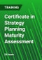 Certificate in Strategy Planning Maturity Assessment - Product Thumbnail Image