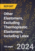 2024 Global Forecast for Other Elastomers, Excluding Thermoplastic Elastomers, Including Latex (2025-2030 Outlook) - Manufacturing & Markets Report- Product Image