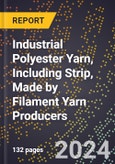 2024 Global Forecast for Industrial Polyester Yarn, Including Strip, Made by Filament Yarn Producers (2025-2030 Outlook) - Manufacturing & Markets Report- Product Image