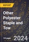 2024 Global Forecast for Other Polyester Staple and Tow (2025-2030 Outlook) - Manufacturing & Markets Report - Product Thumbnail Image