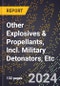 2024 Global Forecast for Other Explosives & Propellants, Incl. Military Detonators, Etc. (2025-2030 Outlook) - Manufacturing & Markets Report - Product Thumbnail Image