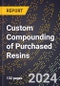 2024 Global Forecast for Custom Compounding of Purchased Resins (2025-2030 Outlook) - Manufacturing & Markets Report - Product Thumbnail Image