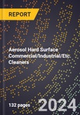 2024 Global Forecast for Aerosol Hard Surface Commercial/Industrial/Etc. Cleaners (2025-2030 Outlook) - Manufacturing & Markets Report- Product Image